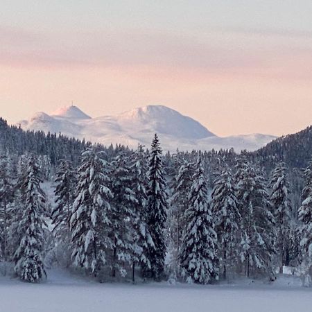 Tuddal Hyttegrend, Gamlestugu, Telemark 外观 照片