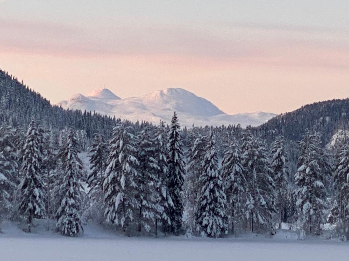 Tuddal Hyttegrend, Gamlestugu, Telemark 外观 照片